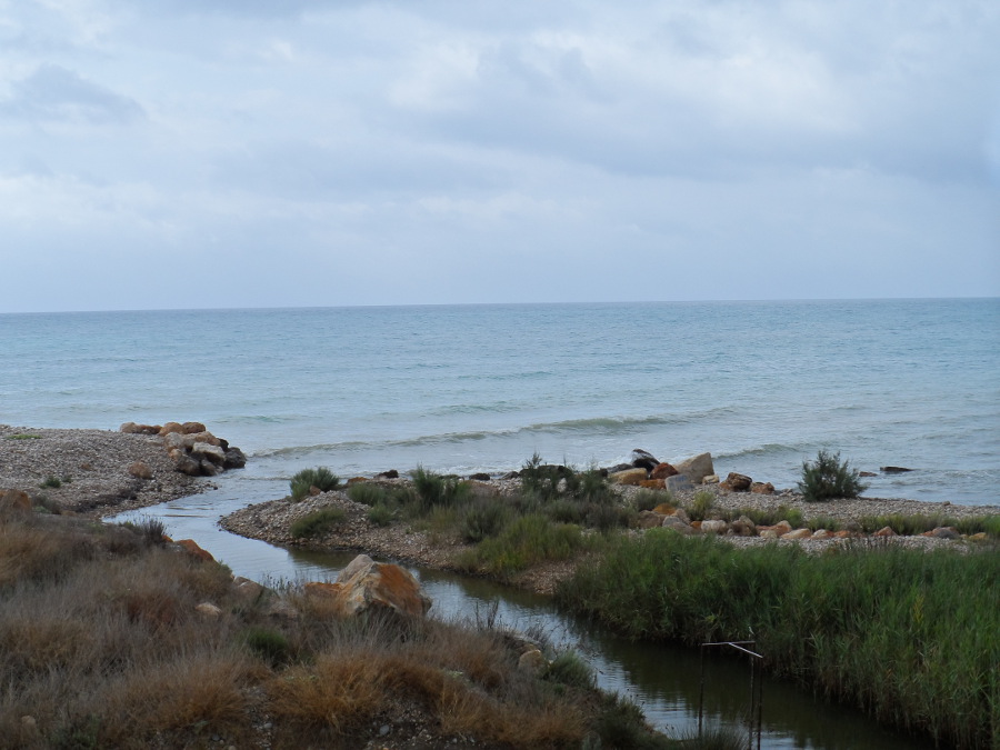 SAM_0228