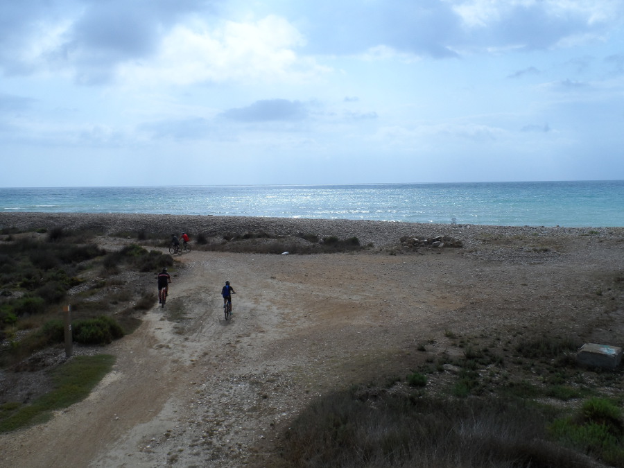 SAM_0233