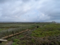 SAM_0231