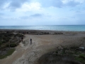 SAM_0233